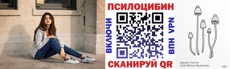 Псилоцибиновые грибы Psilocybe  Бугуруслан 